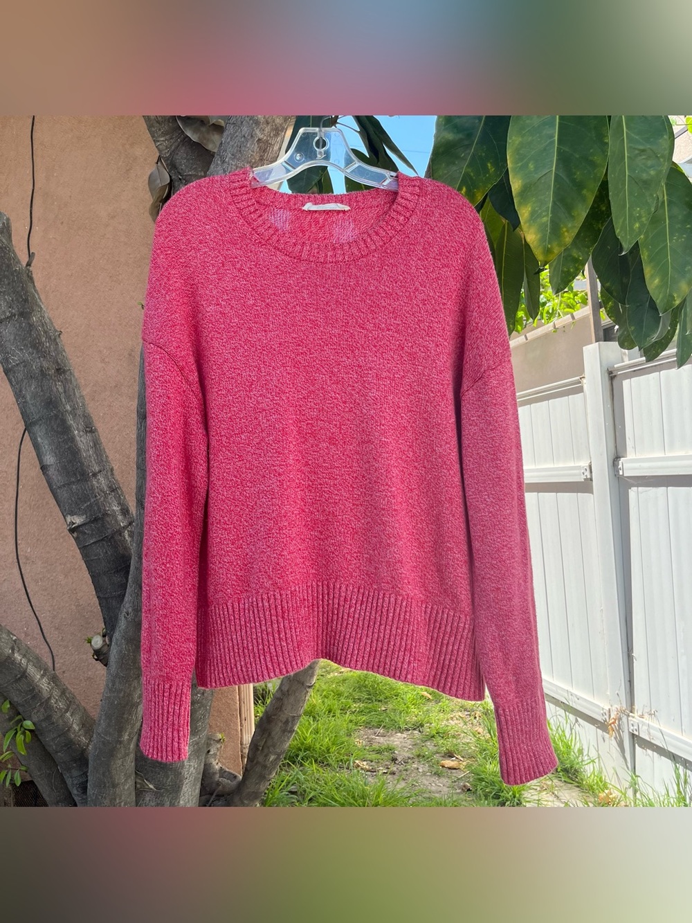 Everlane the Boxy Sweater in Everyday Cotton.